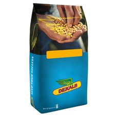 kukurydza DKC 3201 F1 50tys C1 Bayer