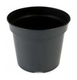 Doniczka&#x20;produkcyjna&#x20;PBN&#x20;czarna&#x20;100&#x20;sztuk&#x20;Interplast