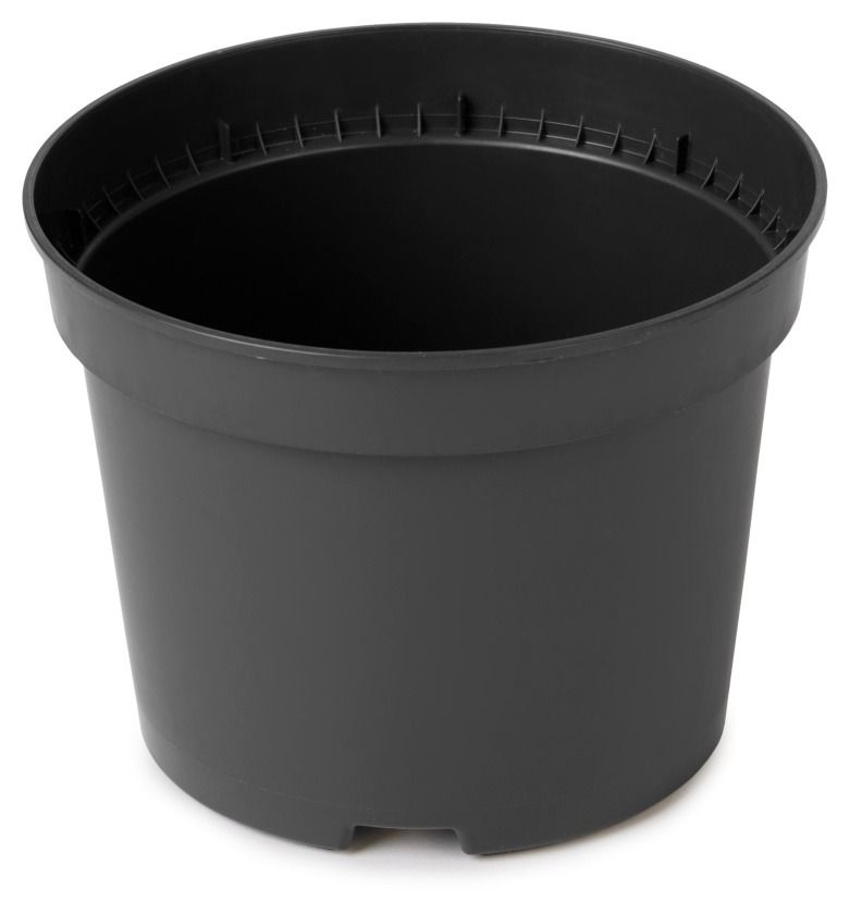 Doniczka&#x20;Produkcyjna&#x20;DPY&#x20;czarna&#x20;100&#x20;sztuk&#x20;Interplast