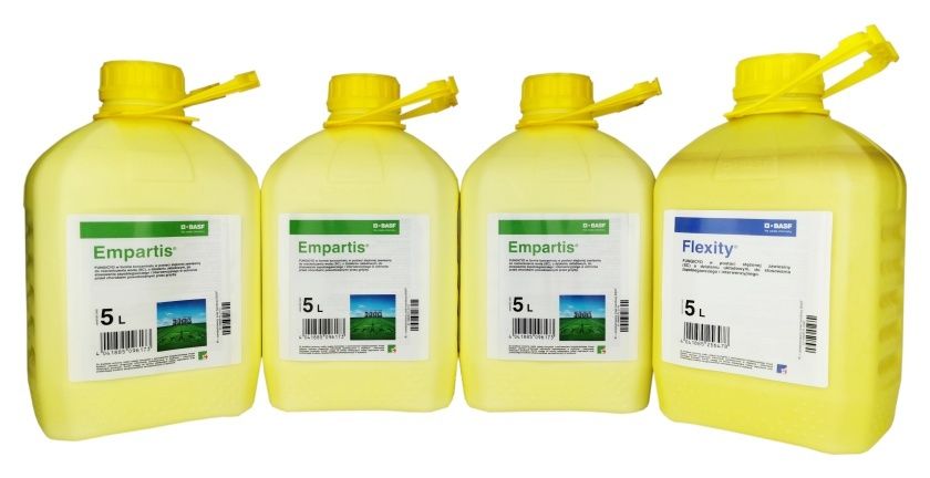 Duży Zestaw DUET na START (3x5L + 1x5L) BASF