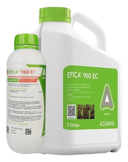 Efica 960 EC Adama