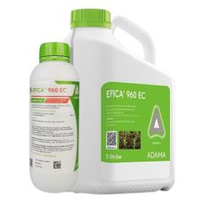 Efica 960 EC Adama