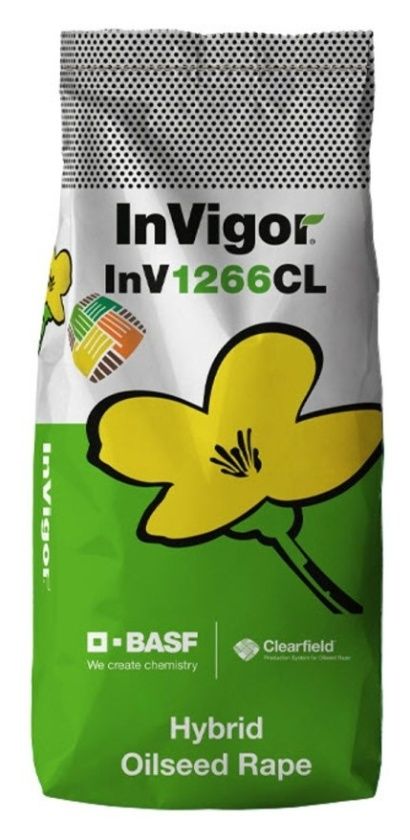 Rzepak ozimy InV1266 CL F1 C1 Lumiposa BASF