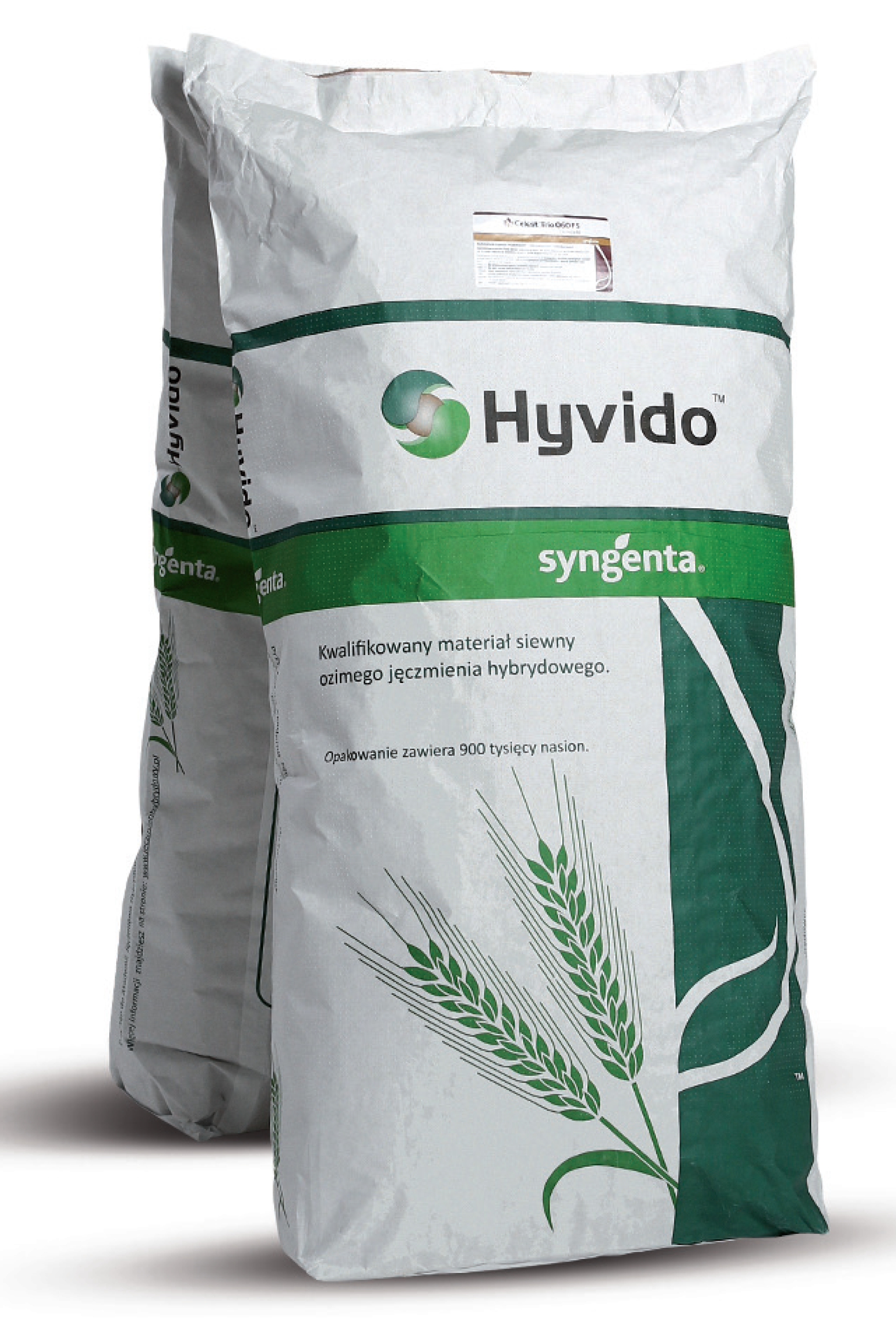 Jęczmień ozimy SY Galileoo F1 C1 900tyś nasion Syngenta
