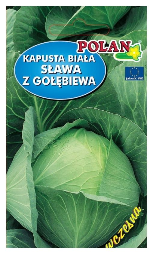 Kapusta Sława z Gołębiewa 10g PlantiCo