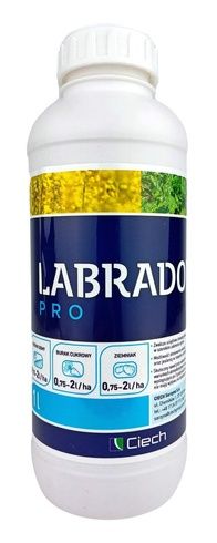 Labrador Pro Qemetica11