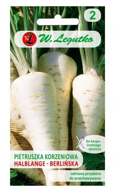 Pietruszka Berlińska/Halblange Legutko