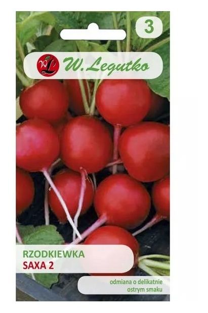 Rzodkiewka okrągła Saxa 2 Legutko
