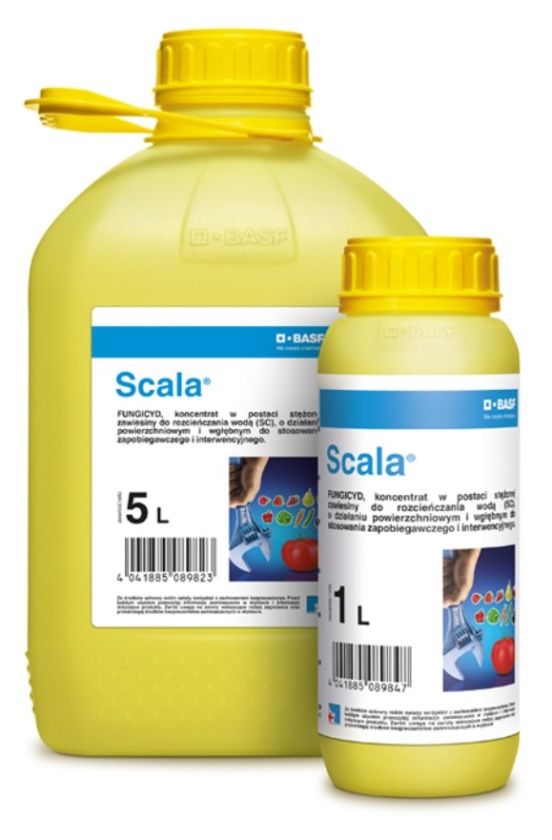 SCALA BASF