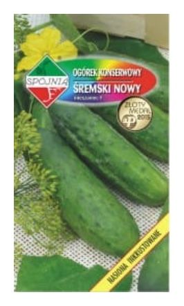 Ogórek Śremski Nowy