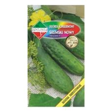 Ogórek Śremski Nowy