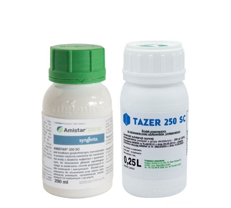 Zestaw Amistar 250 SC 0,2L Syngenta + Tazer 250 SC 0,25L Nufarm