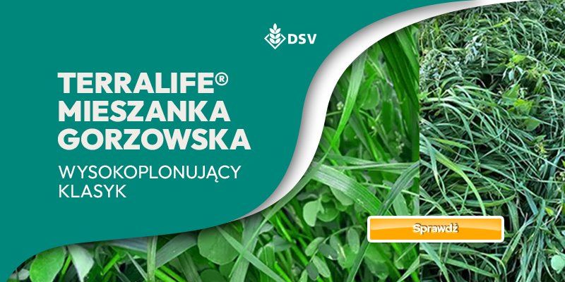 Mieszanka Gorzowska TERRALIFE
