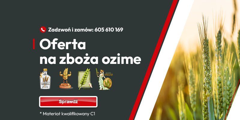 Zboża ozime