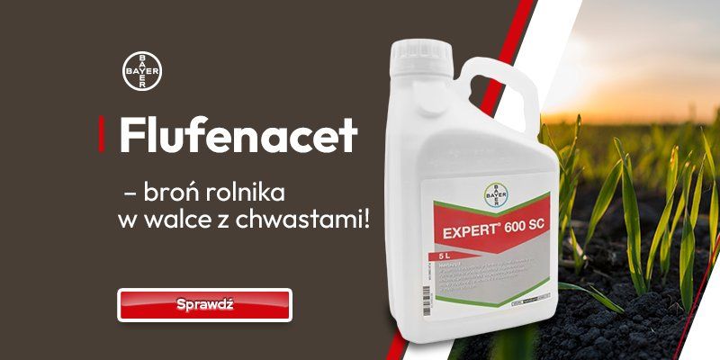 EXPERT 600 SC