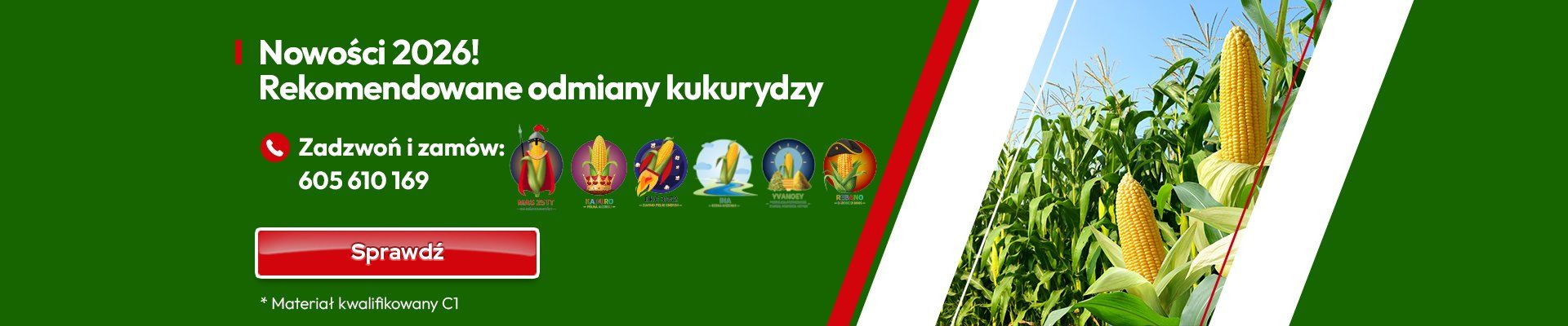 KUKURYDZA - NOWOŚCI 2026 KUKURYDZA - NOWOŚCI 2026 - GRAFIKA