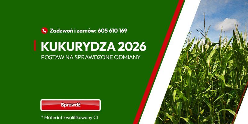 KUKURYDZA 2026 - ODMIANY REKOMENDOWANE KUKURYDZA 2026 - ODMIANY REKOMENDOWANE - GRAFIKA