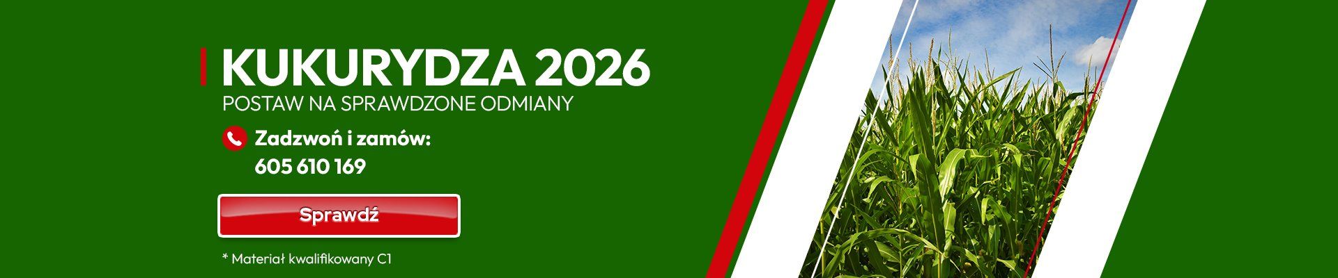 KUKURYDZA 2026 - ODMIANY REKOMENDOWANE KUKURYDZA 2026 - ODMIANY REKOMENDOWANE - GRAFIKA