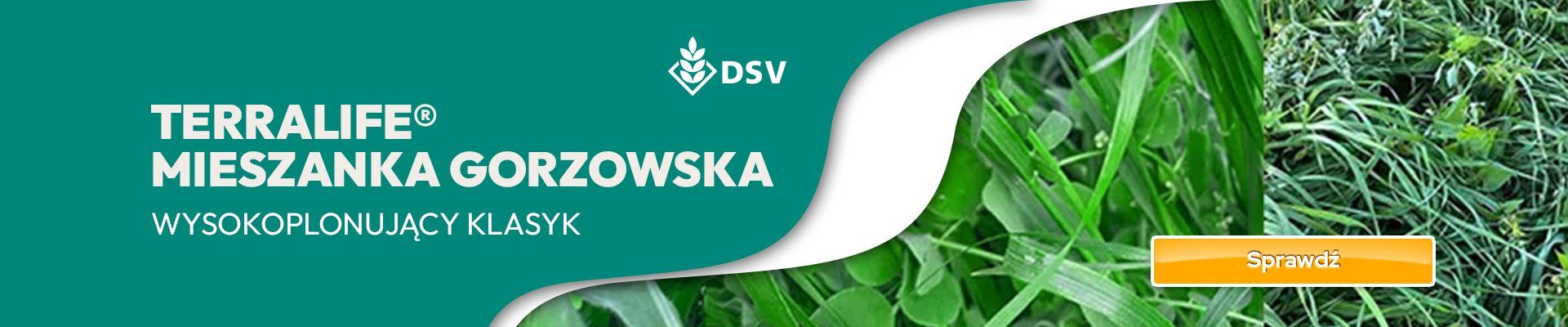 Mieszanka Gorzowska TERRALIFE 2025 B2F WIALAN - GRAFIKA