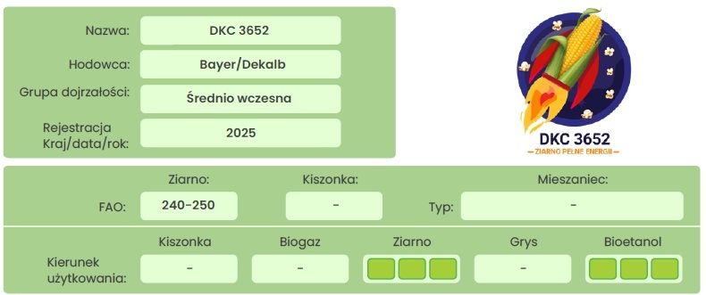 Profil odmiany kukurydzy DKC 3652 Bayer