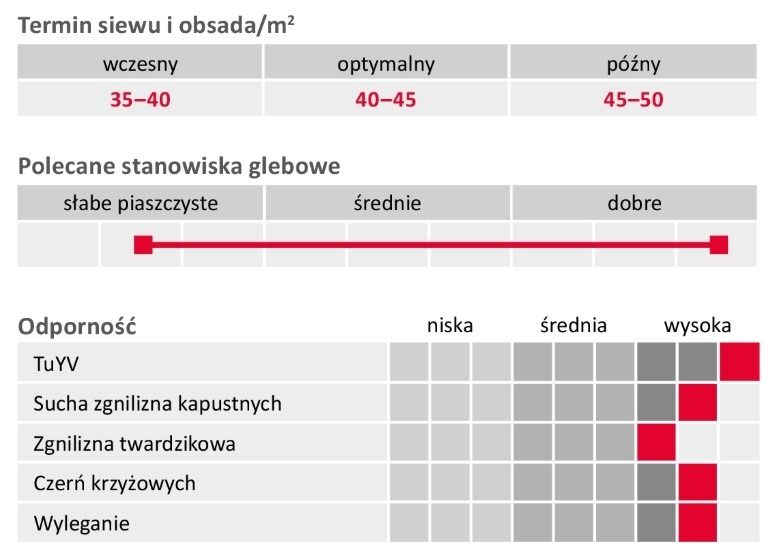 Profil odmiany rzepaku ozimego