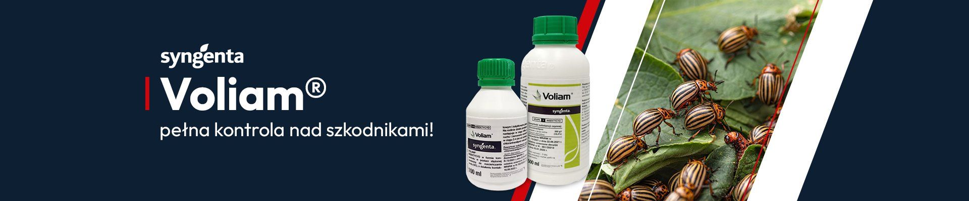 Voliam Syngenta 2025 B2F WIALAN - GRAFIKA