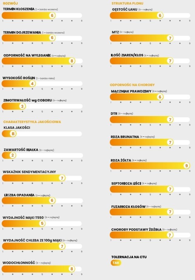 Cechy odmiany pszenicy zwyczajnej Champion C1