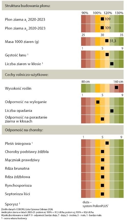 Cechy odmiany żyta ozimego KWS Serafino