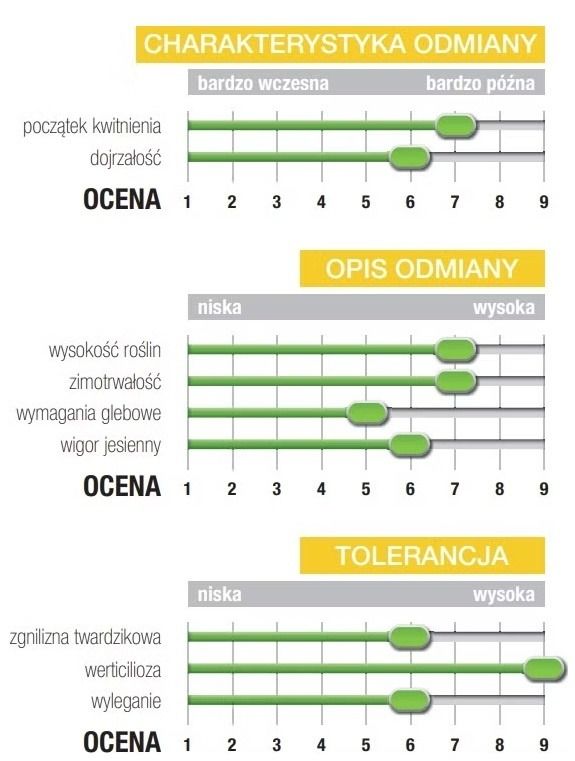 Cechy odmiany rzepaku ozimego SY Alibaba