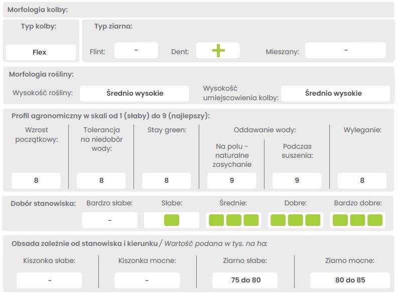 Cechy odmiany kukurydzy KWS Rebano