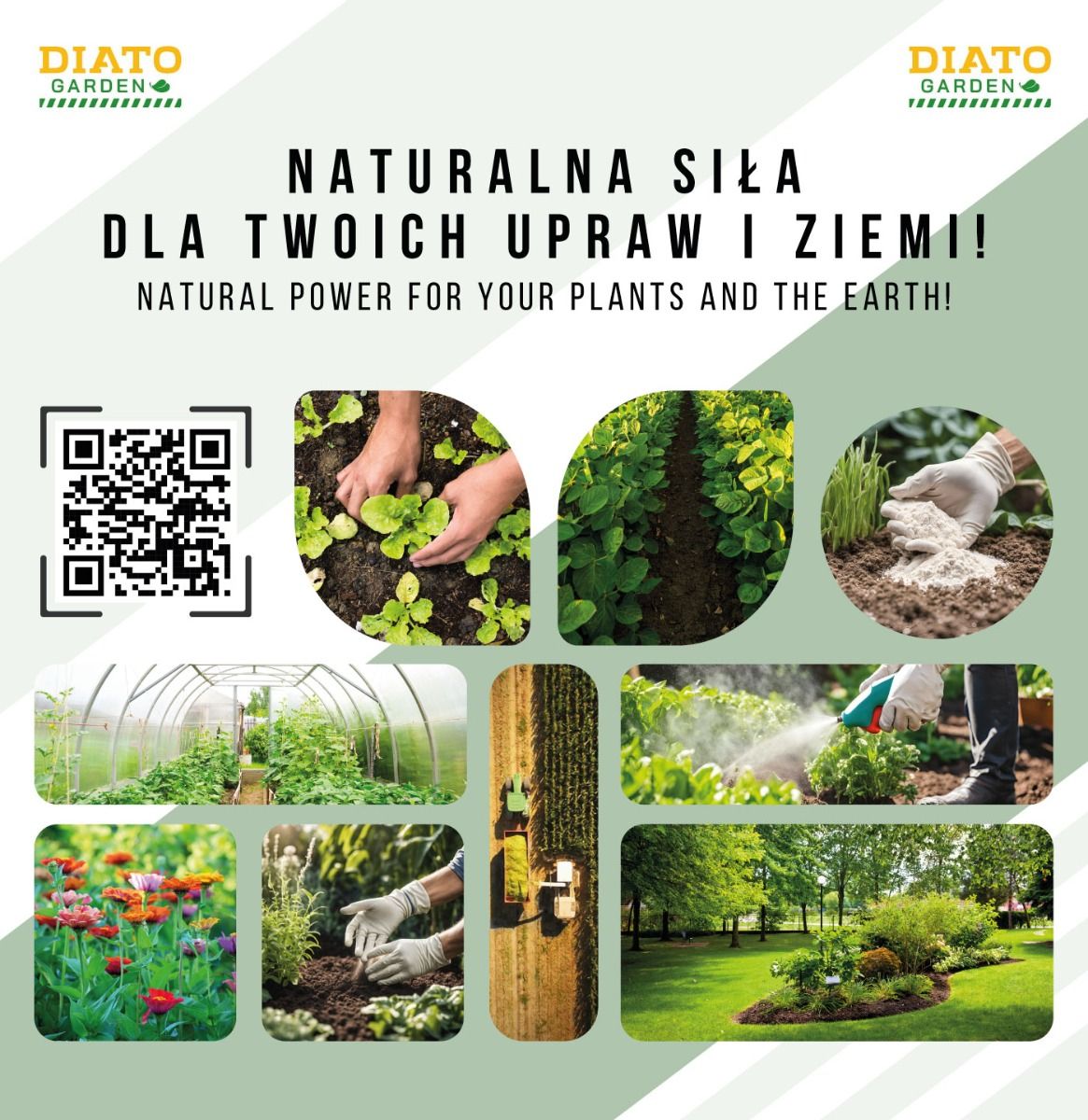 Ziemia okrzemkowa Diato Garden