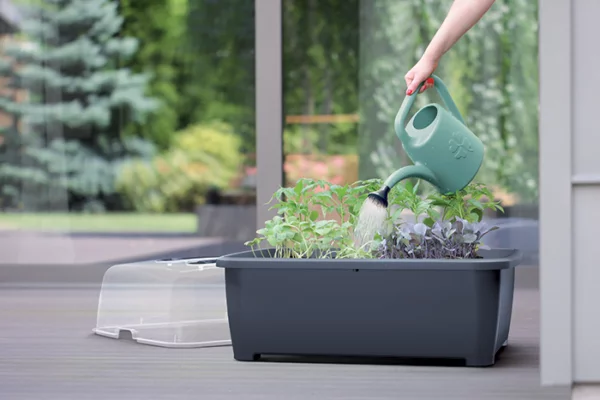 Respana Planter Set - aranżacja 