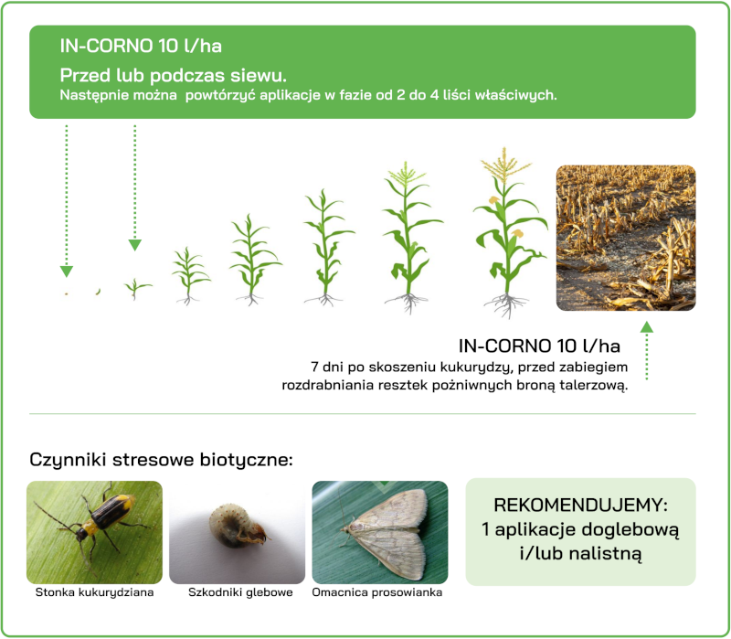 <p><img src="{{media url="wysiwyg/opisy_produktow/in-corno-ograniczenie-obecnosci-szkodnikow-t-1IN-CORNO - dawkowanie i czynniki stresowe biotyczne 