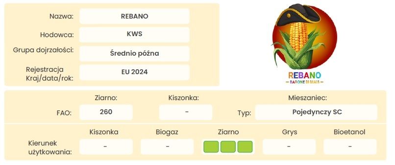 Profil odmiany kukurydzy KWS Rebano